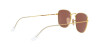 Ray-Ban Frank RB 3857 (9196AF)