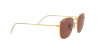 Ray-Ban Frank RB 3857 (9196AF)