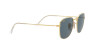 Ray-Ban Frank Legend Gold RB 3857 (9196R5)