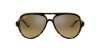 Ray-Ban Scuderia Ferrari Collection RB 4125M (F6093K)