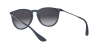 Ray-Ban Erika Color Mix RB 4171 (60028G)