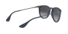 Ray-Ban Erika Color Mix RB 4171 (60028G)