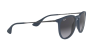 Ray-Ban Erika Color Mix RB 4171 (60028G)