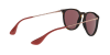 Ray-Ban Erika RB 4171 (639175)