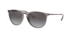 Ray-Ban Erika Color Mix RB 4171 (65138G)