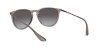 Ray-Ban Erika Color Mix RB 4171 (65138G)