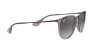 Ray-Ban Erika Color Mix RB 4171 (65138G)