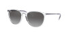 Ray-Ban Erika Color Mix RB 4171 (651611)