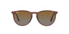 Ray-Ban Erika RB 4171 (6593T5)