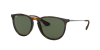 Ray-Ban Erika RB 4171 (710/71)