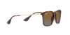 Ray-Ban Chris RB 4187 (6593T5)