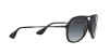 Ray-Ban Alex RB 4201 (622/8G)