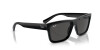 Ray-Ban Warren RB 4396 (667787)