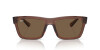 Ray-Ban Warren RB 4396 (667873)