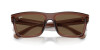 Ray-Ban Warren RB 4396 (667873)