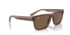 Ray-Ban Warren RB 4396 (667873)