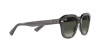 Ray-Ban Erik RB 4398 (667571)