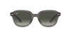 Ray-Ban Erik RB 4398 (667571)