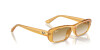 Ray-Ban RB 4436D (668213)