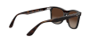 Ray-Ban RB 4440N (710/13)