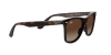 Ray-Ban RB 4440N (710/13)