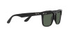 Ray-Ban Steve RB 4487 (662971)