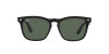 Ray-Ban Steve RB 4487 (662971)