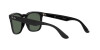 Ray-Ban Steve RB 4487 (662971)