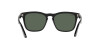 Ray-Ban Steve RB 4487 (662971)