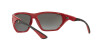 Ray-Ban Scuderia Ferrari Collection RB 8359M (F6636G)