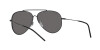 Ray-Ban Aviator Reverse RB R0101S (002/GS)