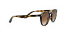 Ray-Ban Junior RJ 9064S (152/13)