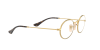 Ray-Ban Oval RX 3547V (2500) - RB 3547V 2500