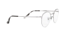 Ray-Ban Round Gaze RX 3947V (2501) - RB 3947V 2501