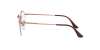 Ray-Ban Round Gaze RX 3947V (2943) - RB 3947V 2943