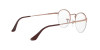 Ray-Ban Round Gaze RX 3947V (2943) - RB 3947V 2943