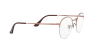 Ray-Ban Round Gaze RX 3947V (2943) - RB 3947V 2943