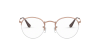 Ray-Ban Round Gaze RX 3947V (2943) - RB 3947V 2943