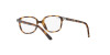 Ray-Ban Leonard Jr RY 9093V (3685)