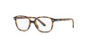 Ray-Ban Leonard Jr RY 9093V (3685)