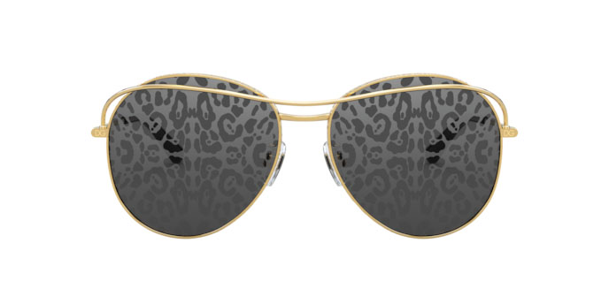 Sunglasses Dolce & Gabbana DG 2261 (02/P)