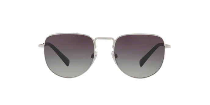 Sunglasses Valentino VA 2012 (30068G)