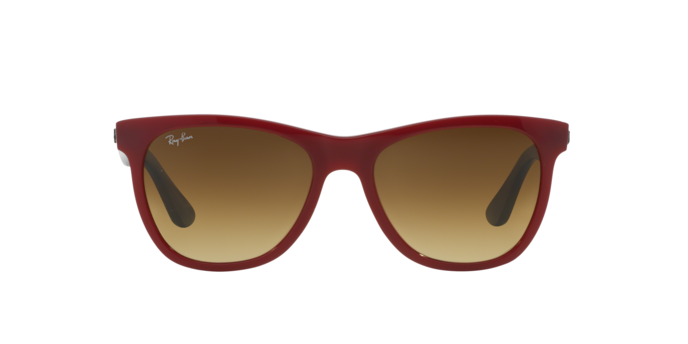 4184 2024 ray ban